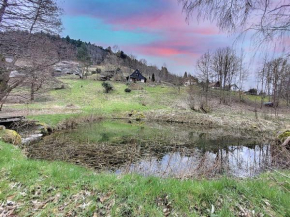 Chalet Mittlach